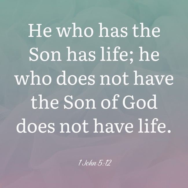 He who has the Son has life; he who does not have the Son of God does not have life. - 1 John 5:12