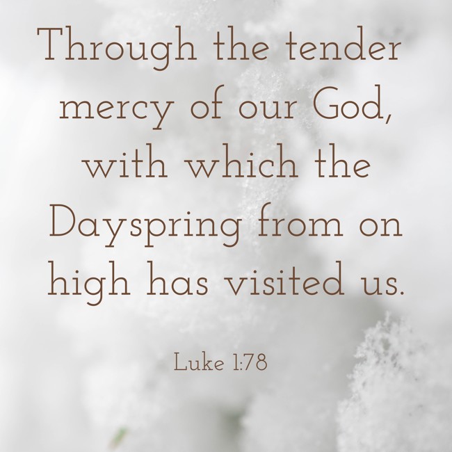 Through the tender mercy of our God, with which the Dayspring from on high has visited us. - Luke 1:78