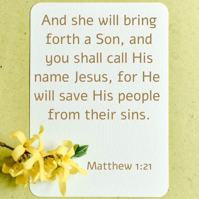 And she will bring forth a Son, and you shall call His name Jesus, for He will save His people from their sins. - Matthew 1:21