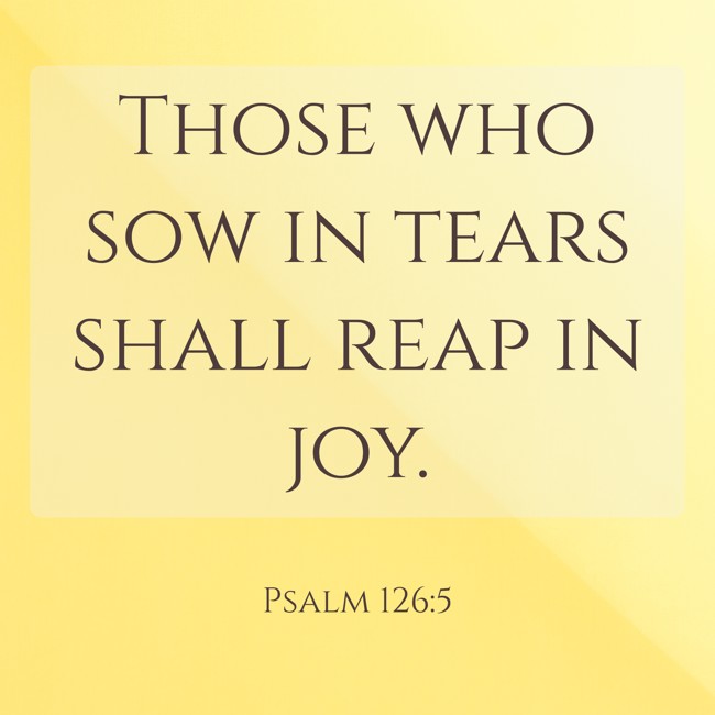 Those who sow in tears shall reap in joy. - Psalm 126:5