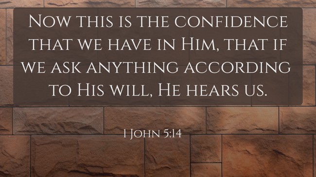 Now this is the confidence that we have in Him, that if we ask anything according to His will, He hears us. - 1 John 5:14