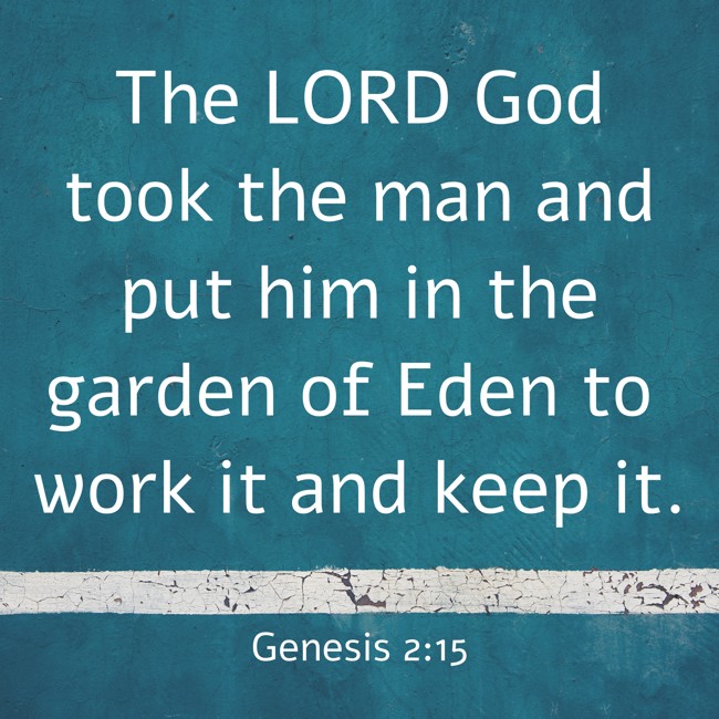 The LORD God took the man and put him in the garden of Eden to work it and keep it. - Genesis 2:15