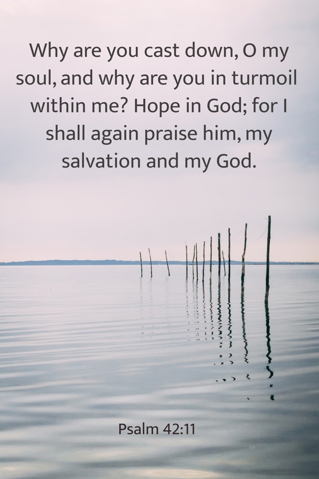 Why are you cast down, O my soul, and why are you in turmoil within me? Hope in God; for I shall again praise him, my salvation and my God. - Psalm 42:11