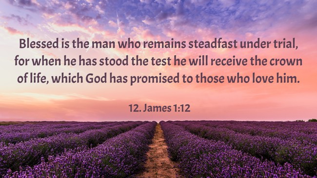 Blessed is the man who remains steadfast under trial, for when he has stood the test he will receive the crown of life, which God has promised to those who love him. - 12. James 1:12