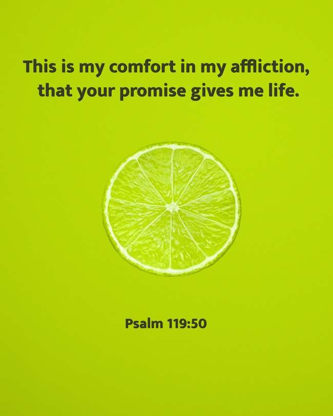 This is my comfort in my affliction, that your promise gives me life. - Psalm 119:50