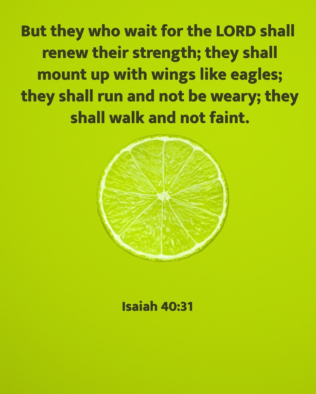 But they who wait for the LORD shall renew their strength; they shall mount up with wings like eagles; they shall run and not be weary; they shall walk and not faint. - Isaiah 40:31