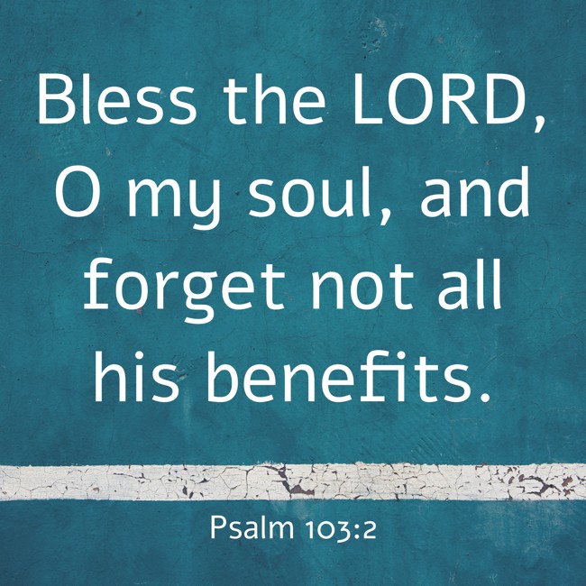 Bless the LORD, O my soul, and forget not all his benefits. - Psalm 103:2