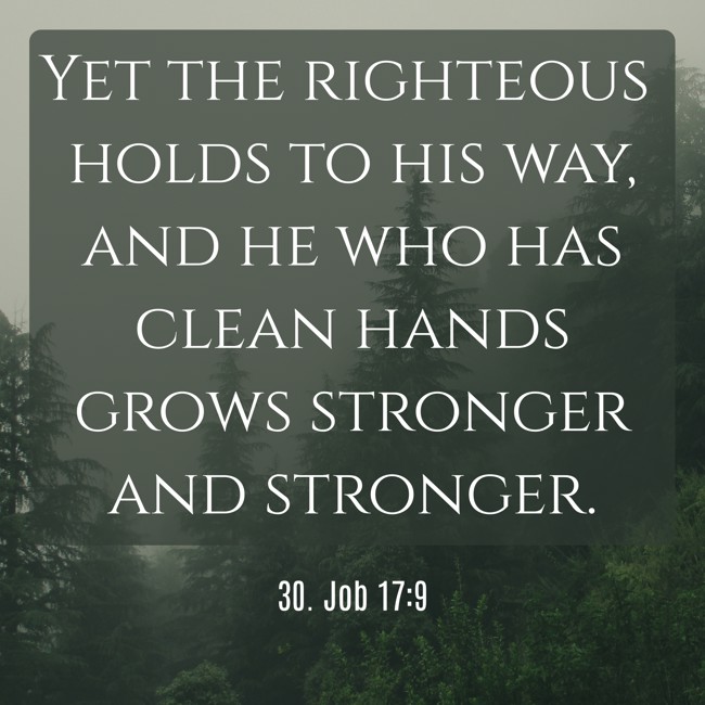Yet the righteous holds to his way, and he who has clean hands grows stronger and stronger. - 30. Job 17:9