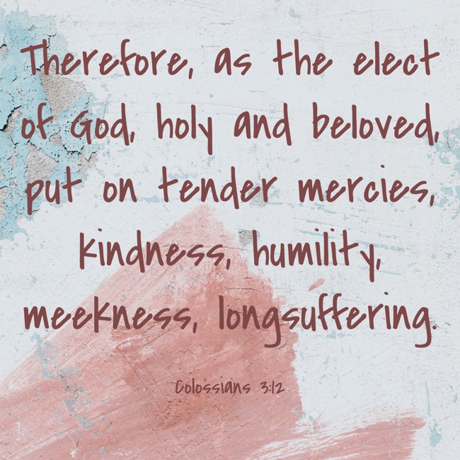 Therefore, as the elect of God, holy and beloved, put on tender mercies, kindness, humility, meekness, longsuffering. - Colossians 3:12