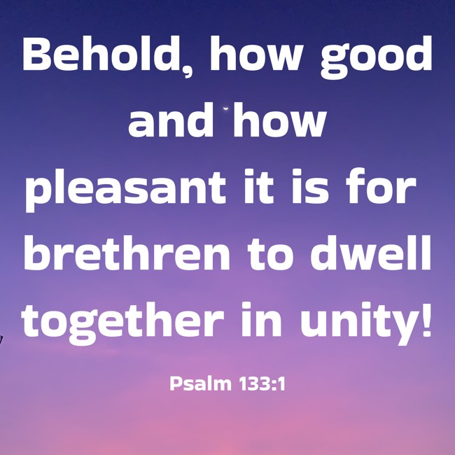 Behold, how good and how pleasant it is for brethren to dwell together in unity! - Psalm 133:1