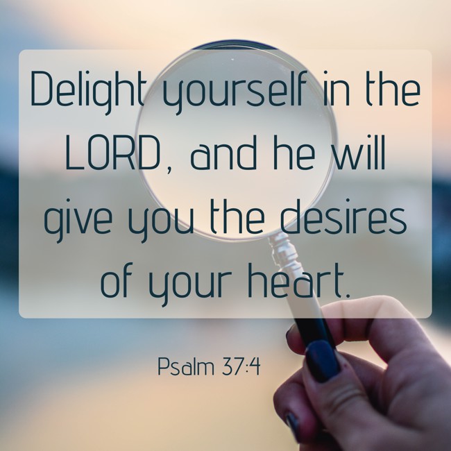 Delight yourself in the LORD, and he will give you the desires of your heart. - Psalm 37:4