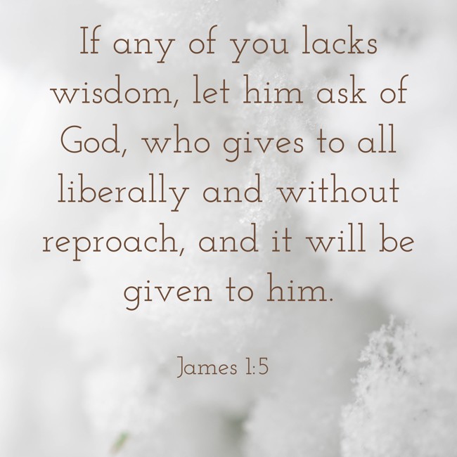 If any of you lacks wisdom, let him ask of God, who gives to all liberally and without reproach, and it will be given to him. - James 1:5