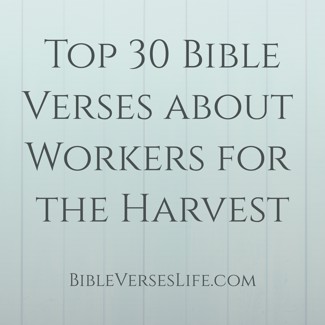 Top 30 Bible Verses about Workers for the Harvest