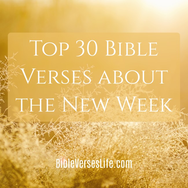 Top 30 Bible Verses about the New Week