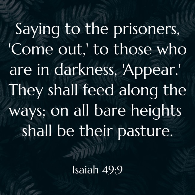 Saying to the prisoners, 'Come out,' to those who are in darkness, 'Appear.' They shall feed along the ways; on all bare heights shall be their pasture. - Isaiah 49:9