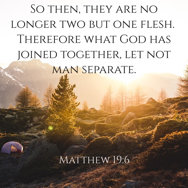 So then, they are no longer two but one flesh. Therefore what God has joined together, let not man separate. - Matthew 19:6