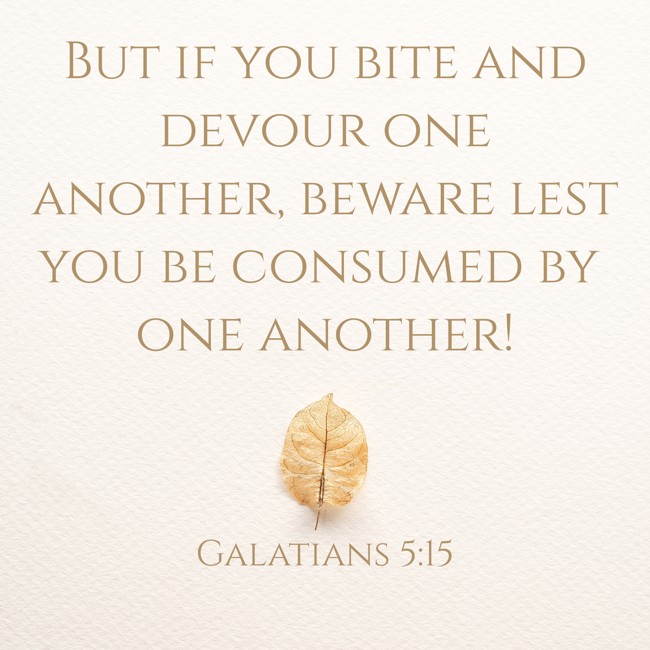 But if you bite and devour one another, beware lest you be consumed by one another! - Galatians 5:15