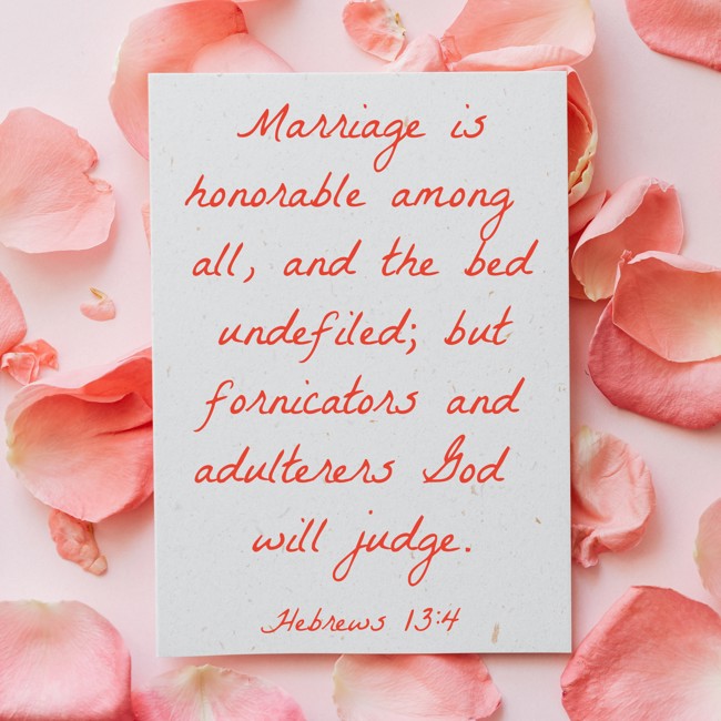 Marriage is honorable among all, and the bed undefiled; but fornicators and adulterers God will judge. - Hebrews 13:4