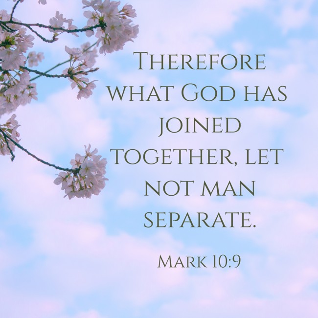 Therefore what God has joined together, let not man separate. - Mark 10:9