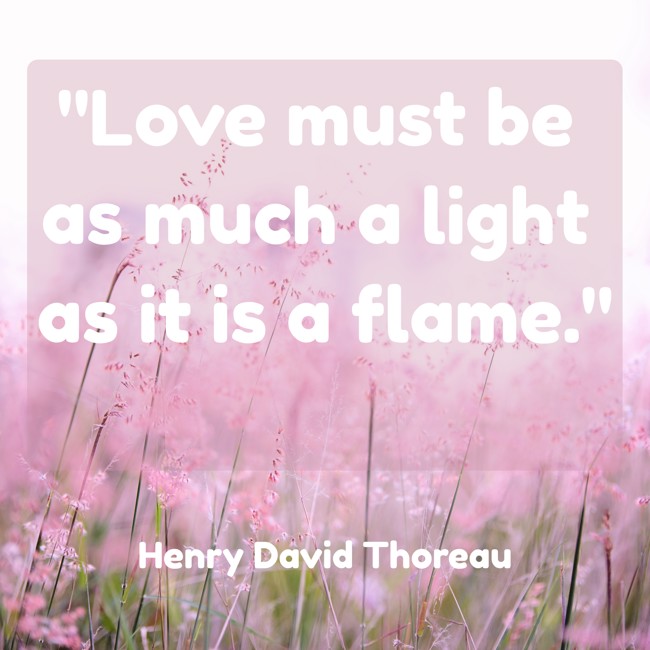 Love must be as much a light as it is a flame. - Henry David Thoreau