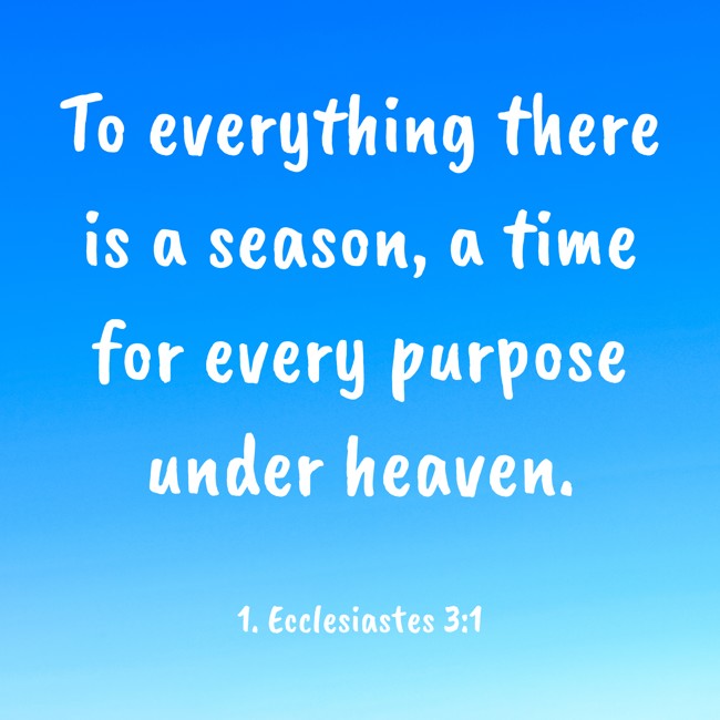 To everything there is a season, a time for every purpose under heaven. - 1. Ecclesiastes 3:1