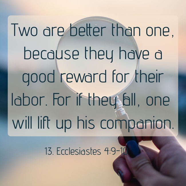 Two are better than one, because they have a good reward for their labor. For if they fall, one will lift up his companion. - 13. Ecclesiastes 4:9-10