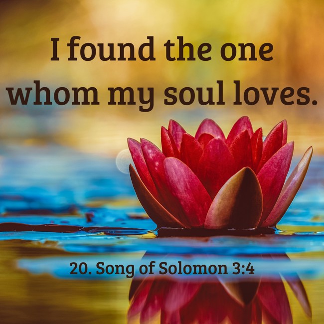 I found the one whom my soul loves. - 20. Song of Solomon 3:4