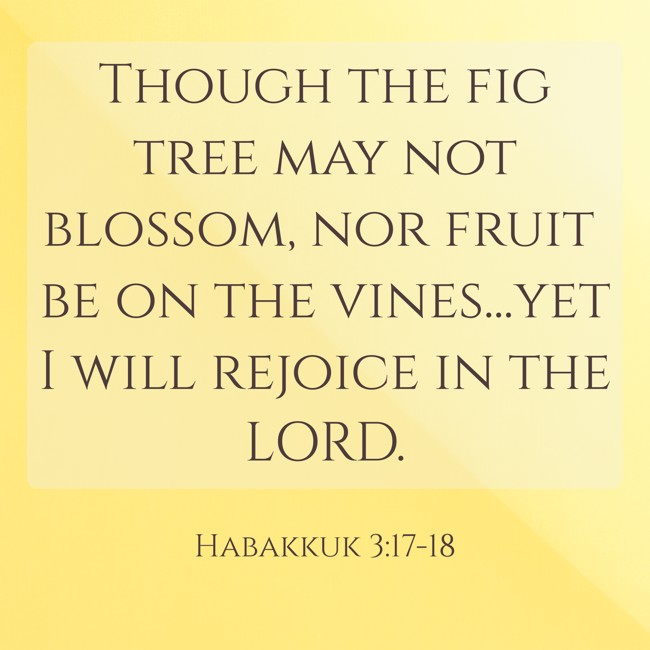 Though the fig tree may not blossom, nor fruit be on the vines...yet I will rejoice in the LORD. - Habakkuk 3:17-18