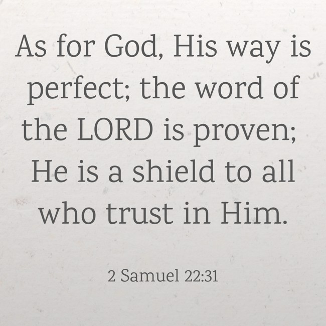 As for God, His way is perfect; the word of the LORD is proven; He is a shield to all who trust in Him. - 2 Samuel 22:31