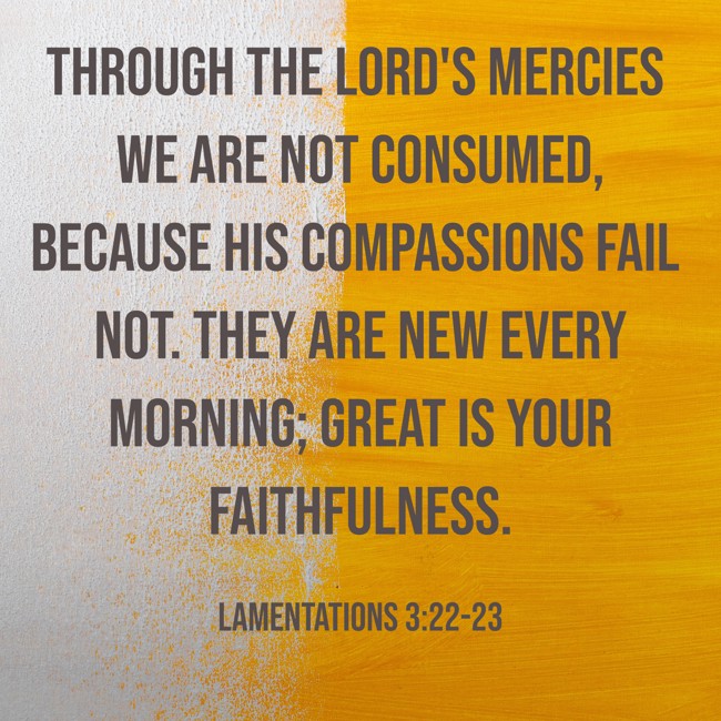 Through the LORD's mercies we are not consumed, because His compassions fail not. They are new every morning; great is Your faithfulness. - Lamentations 3:22-23