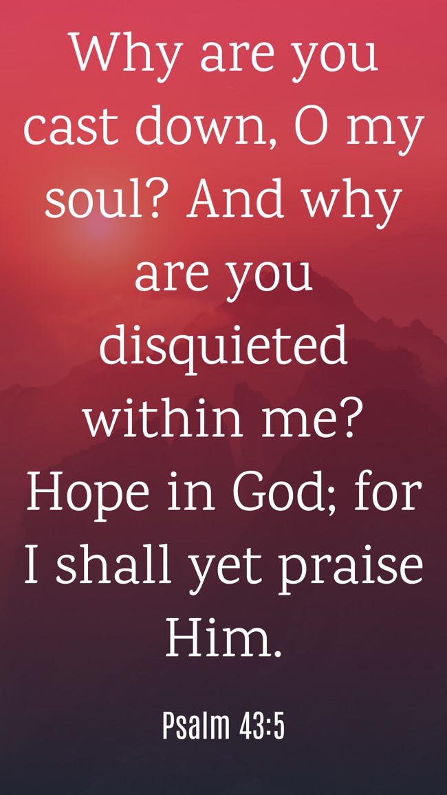 Why are you cast down, O my soul? And why are you disquieted within me? Hope in God; for I shall yet praise Him. - Psalm 43:5