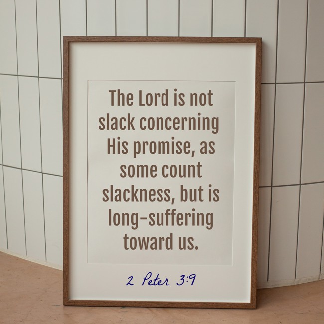 The Lord is not slack concerning His promise, as some count slackness, but is long-suffering toward us. - 2 Peter 3:9