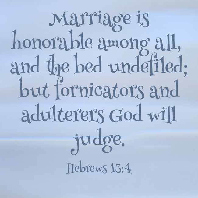 Marriage is honorable among all, and the bed undefiled; but fornicators and adulterers God will judge. - Hebrews 13:4