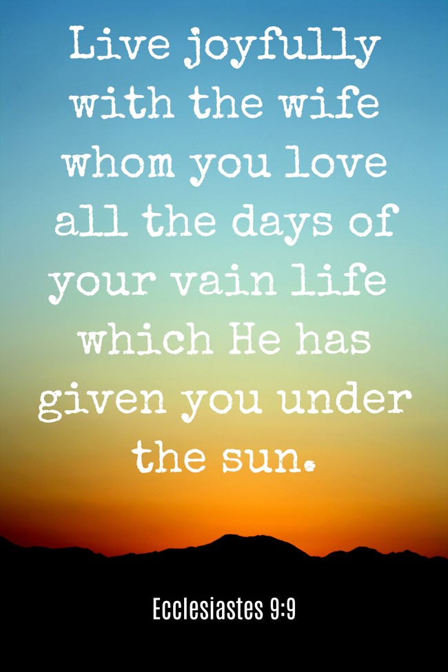 Live joyfully with the wife whom you love all the days of your vain life which He has given you under the sun. - Ecclesiastes 9:9