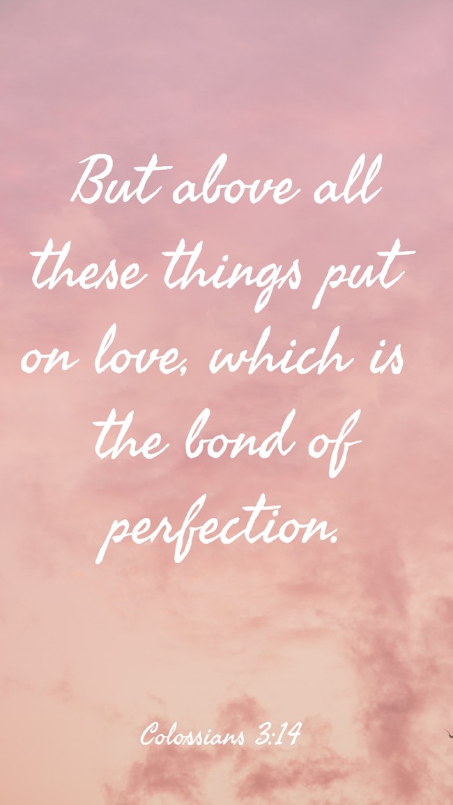 But above all these things put on love, which is the bond of perfection. - Colossians 3:14
