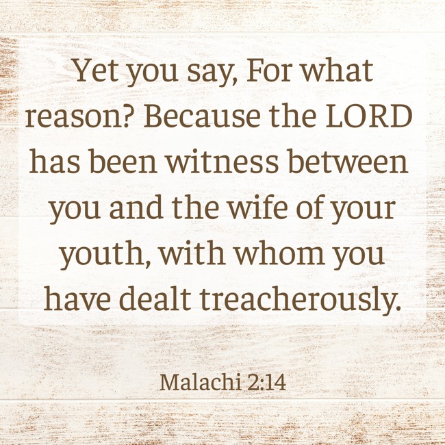 Yet you say, For what reason? Because the LORD has been witness between you and the wife of your youth, with whom you have dealt treacherously. - Malachi 2:14