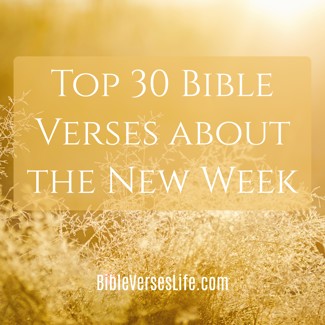Top 30 Bible Verses about the New Week
