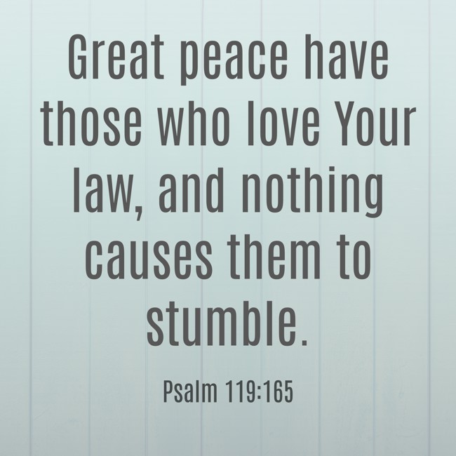 Great peace have those who love Your law, and nothing causes them to stumble. - Psalm 119:165