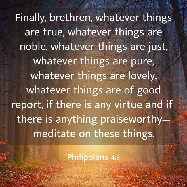 Finally, brethren, whatever things are true, whatever things are noble, whatever things are just, whatever things are pure, whatever things are lovely, whatever things are of good report, if there is any virtue and if there is anything praiseworthy—meditate on these things. - Philippians 4:8