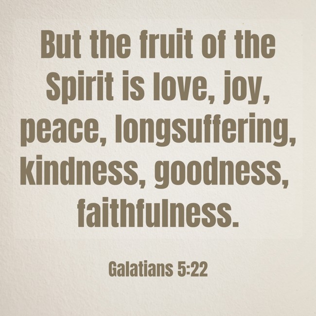 But the fruit of the Spirit is love, joy, peace, longsuffering, kindness, goodness, faithfulness. - Galatians 5:22
