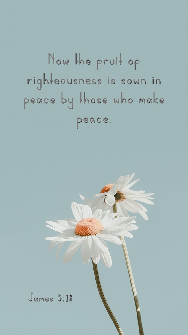 Now the fruit of righteousness is sown in peace by those who make peace. - James 3:18