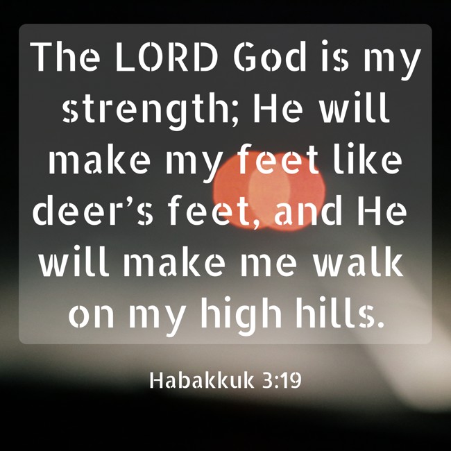 The LORD God is my strength; He will make my feet like deer’s feet, and He will make me walk on my high hills. - Habakkuk 3:19