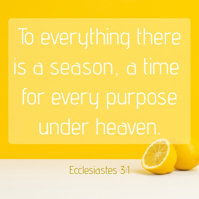 To everything there is a season, a time for every purpose under heaven. - Ecclesiastes 3:1