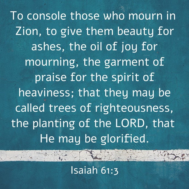 To console those who mourn in Zion, to give them beauty for ashes, the oil of joy for mourning, the garment of praise for the spirit of heaviness; that they may be called trees of righteousness, the planting of the LORD, that He may be glorified. - Isaiah 61:3