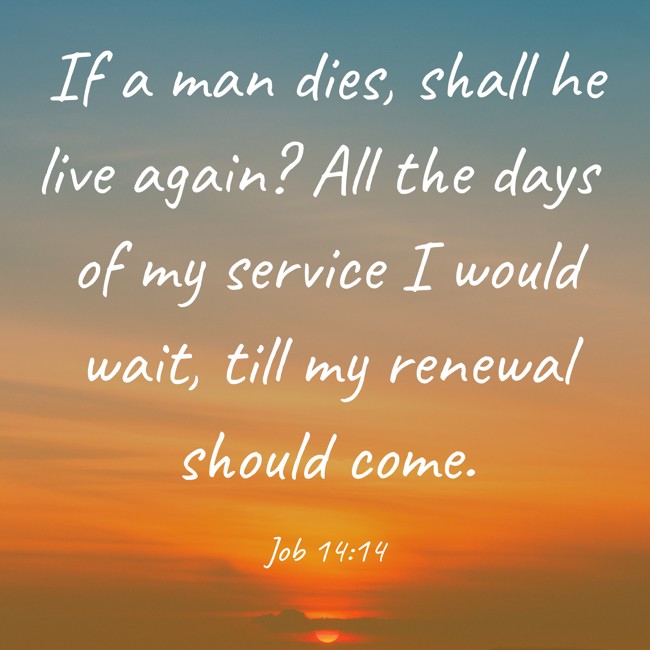 If a man dies, shall he live again? All the days of my service I would wait, till my renewal should come. - Job 14:14