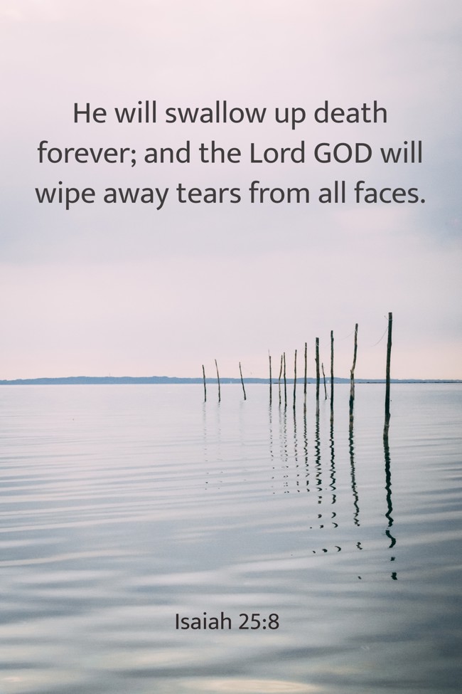 He will swallow up death forever; and the Lord GOD will wipe away tears from all faces. - Isaiah 25:8