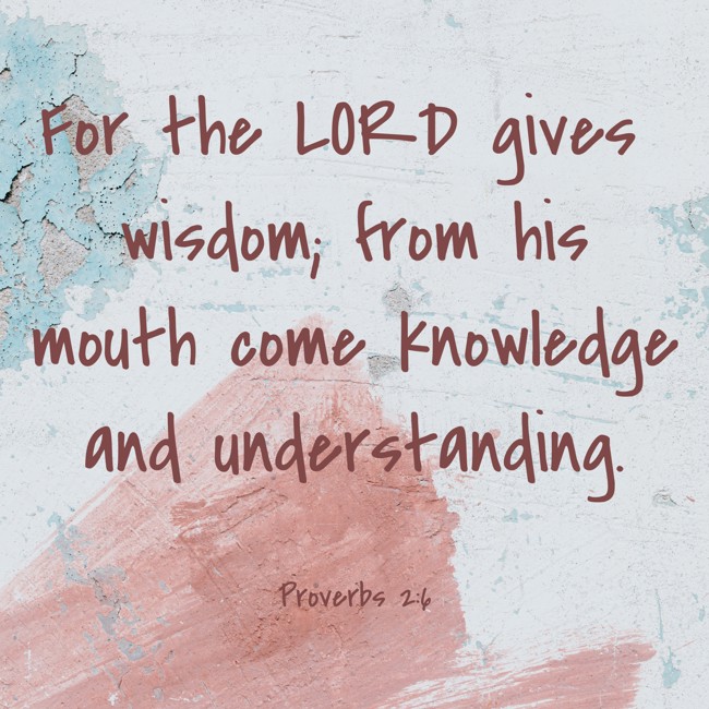 For the LORD gives wisdom; from his mouth come knowledge and understanding. - Proverbs 2:6