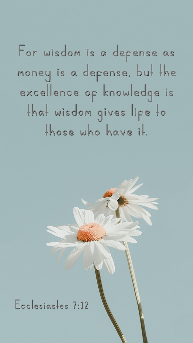 For wisdom is a defense as money is a defense, but the excellence of knowledge is that wisdom gives life to those who have it. - Ecclesiastes 7:12