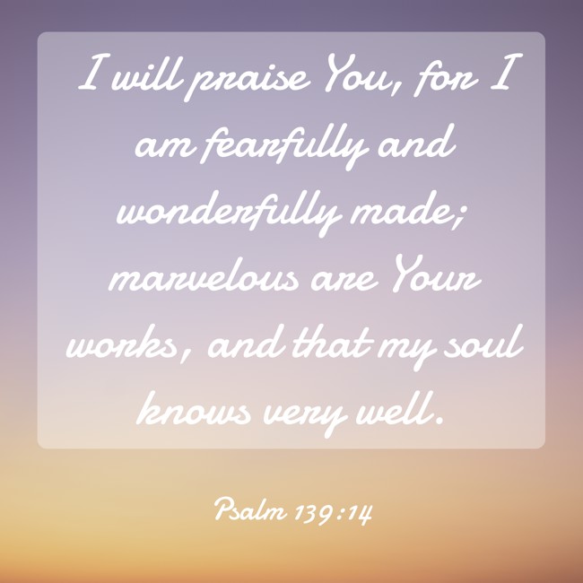 I will praise You, for I am fearfully and wonderfully made; marvelous are Your works, and that my soul knows very well. - Psalm 139:14