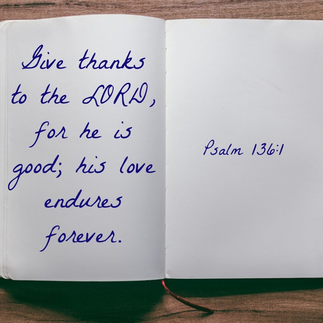 Give thanks to the LORD, for he is good; his love endures forever. - Psalm 136:1